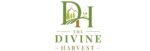 thedivineharvest.in