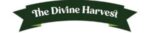 divine harvest logo
