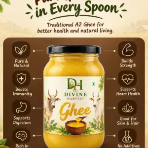 Kangeyam Cow Ghee (500 g)