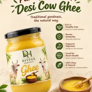Cow Ghee (Pasu nei- 500g)