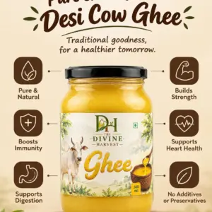 Cow Ghee (Pasu nei- 500g)