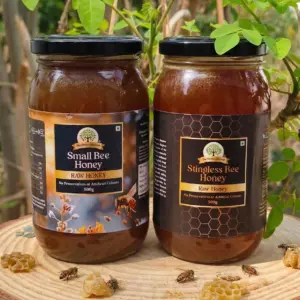 Small Bee Honey + Stingless Bee Honey (500 g)