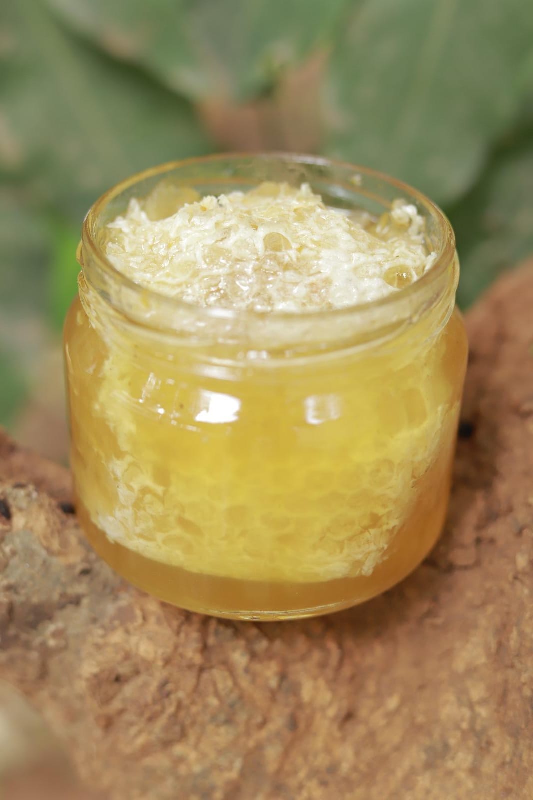 Comb and Honey (450 g)