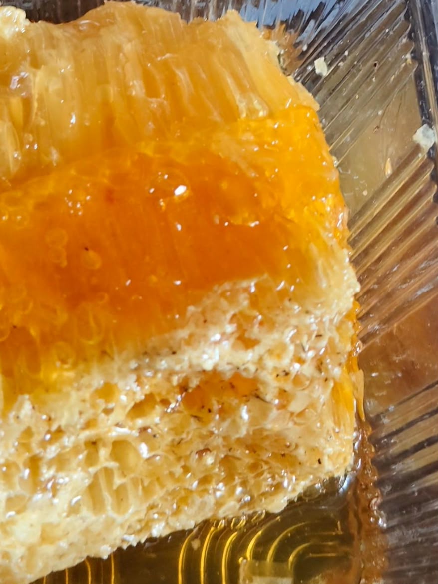 Freshly cut comb showing honey cells