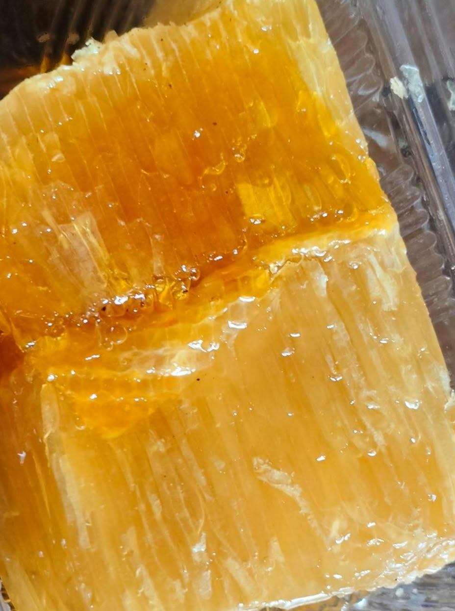 Golden slab of wild comb honey