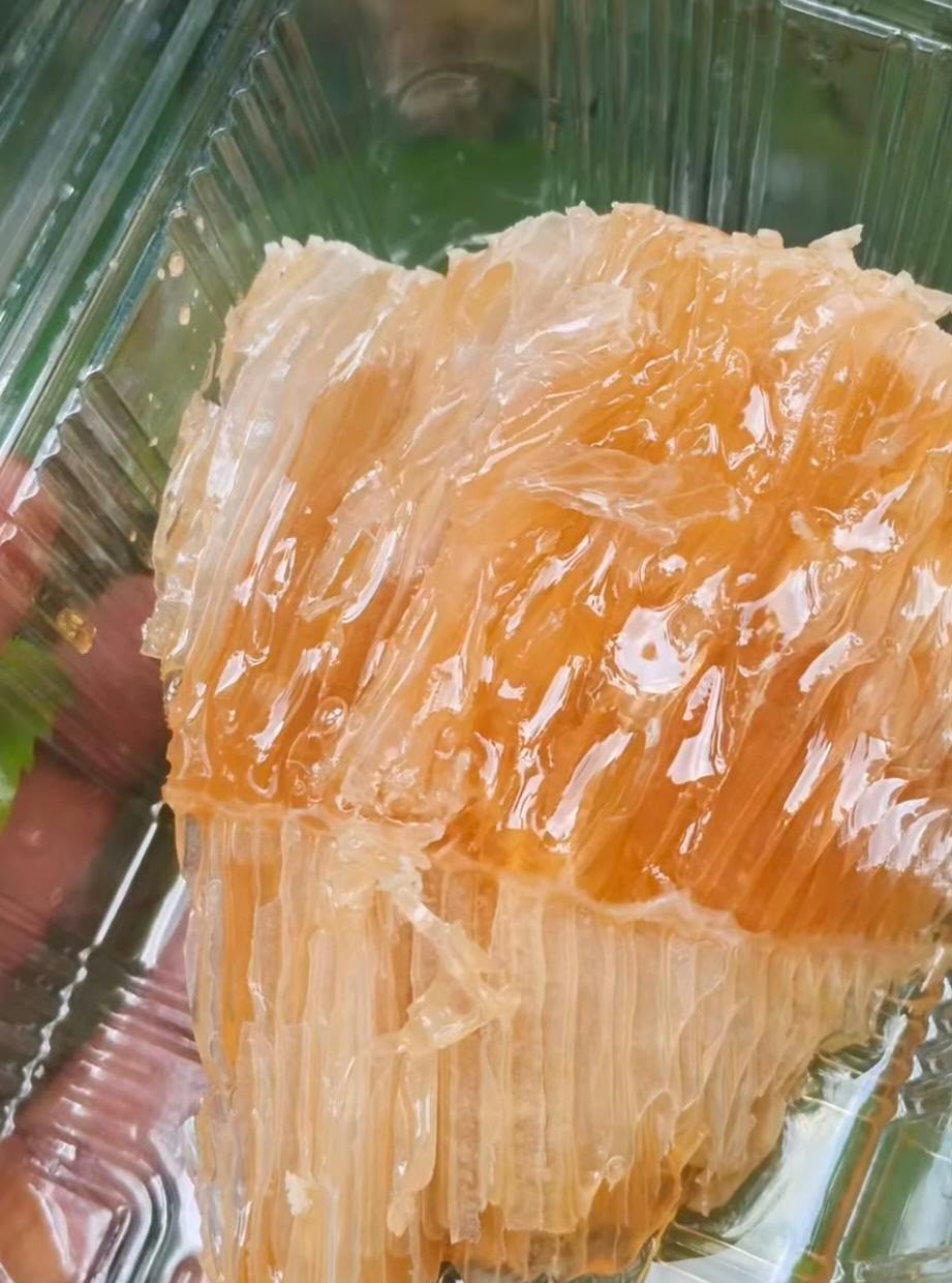 Comb honey tray held in hand