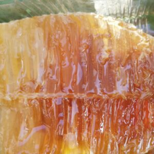 Comb Honey (500 g)