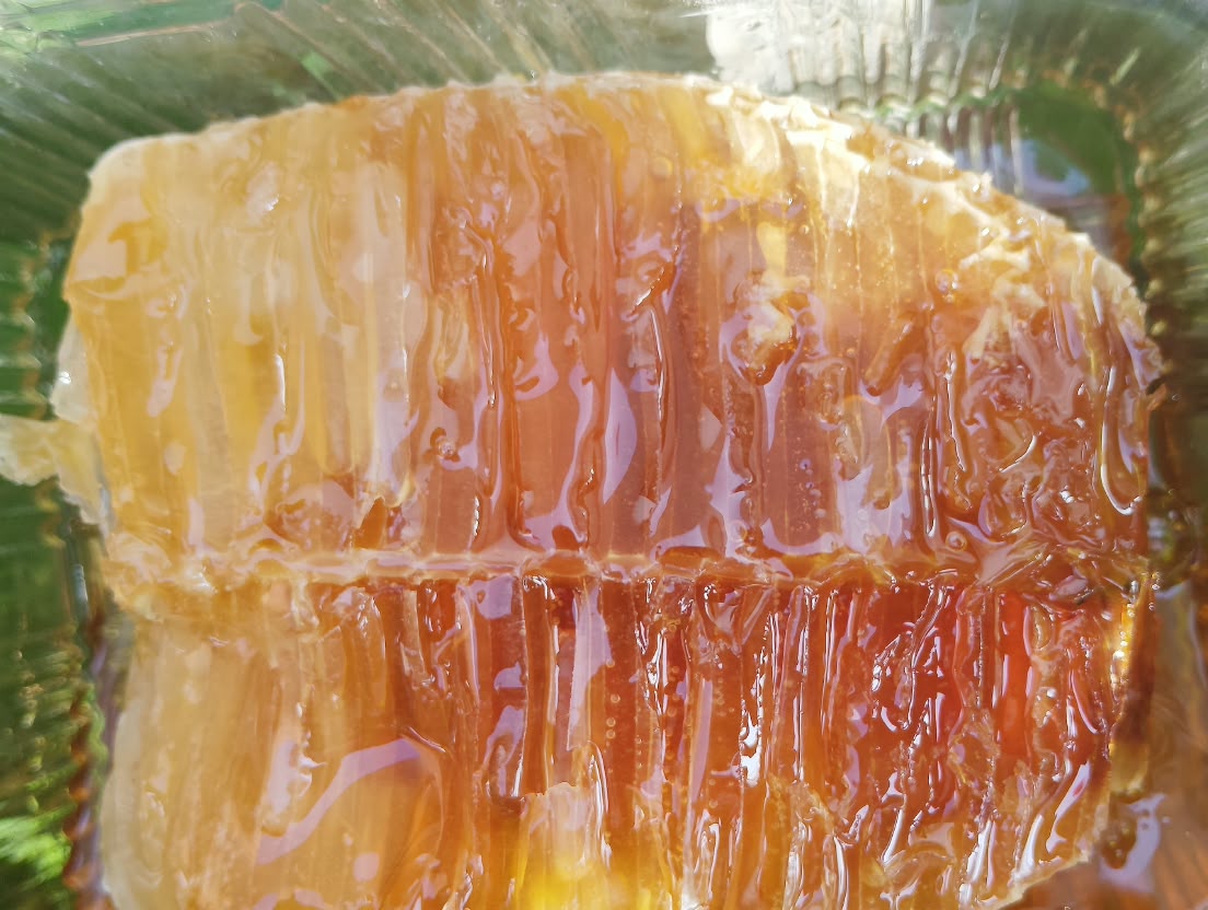 Close-up of comb honey in its tray