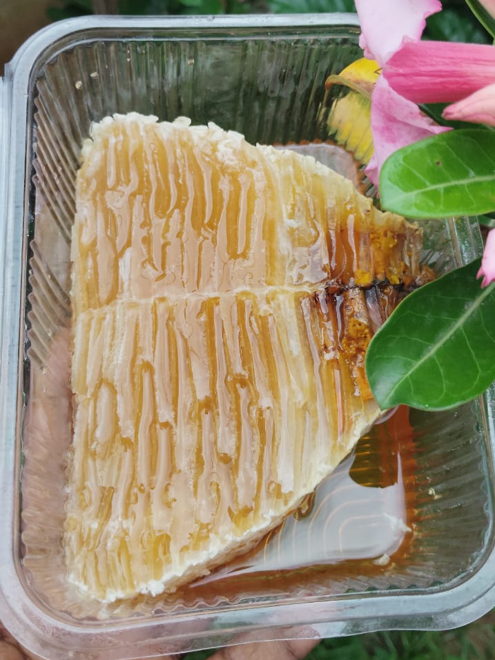 Comb honey tray in the garden