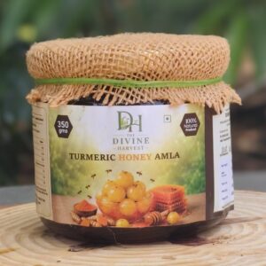 Turmeric Honey Amla (350 g)
